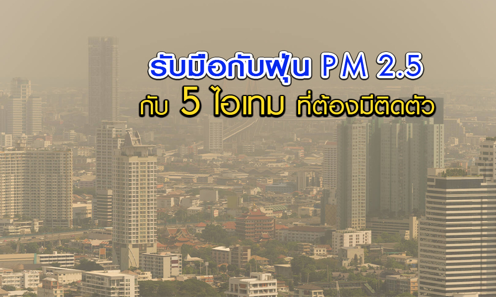 ไอเทมเด็ดป้องกันฝุ่น PM 2.5